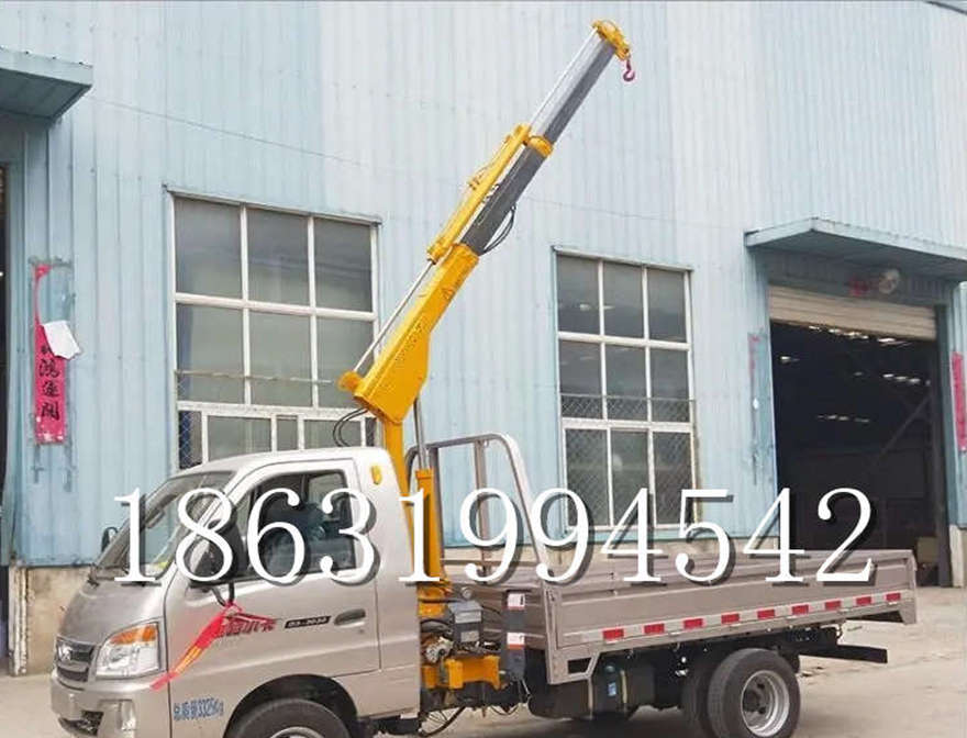 文山壮族苗族自治州车载吊机车载吊机搬运吊水泥搬运220v移动吊机搬运小型